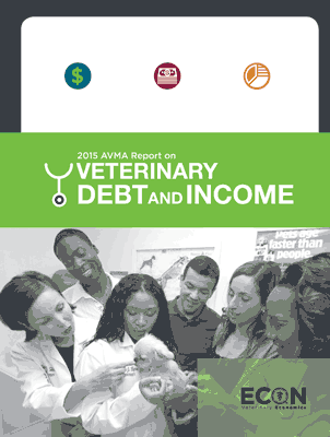 Report cover: AVMA 2015 Report on Veterinary Debt and Income