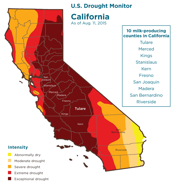 U.S. Drought Monitor California as of Aug. 11, 2015