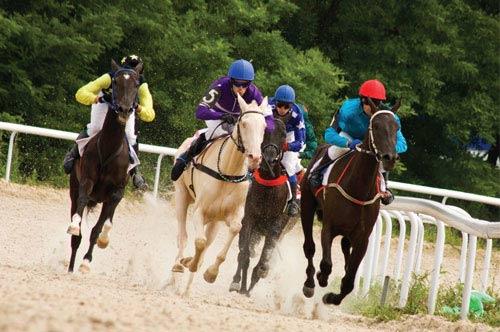 Horses and riders on the track