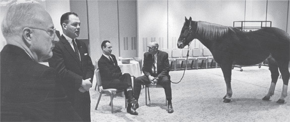 AAEP's 1964 Annual Convention