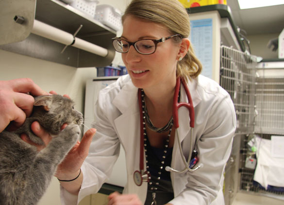 Dr. Trott interacts with a cat undergoing chemotherapy
