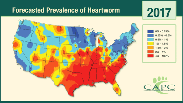 Forecasted Prevalence of Heartworm 2017
