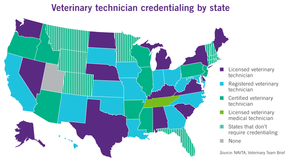 Veterinary technician credentialing by state