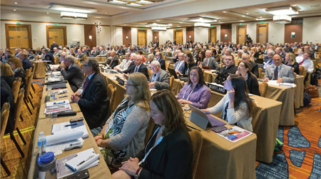 AVMA House of Delegates meeting during the 2017 AVMA Annual Convention