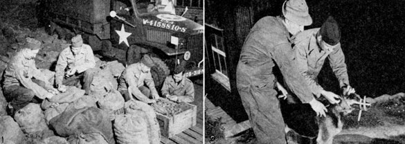 U.S. veterinary officers and technicians inspect food (left) and train guard dogs (right)