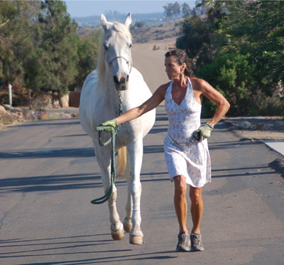 Woman leading a white horse down a street
