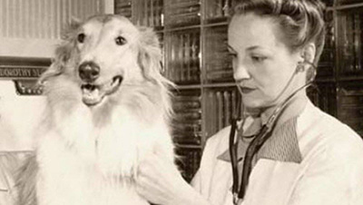 A look at notable female veterinarians on International Women's Day