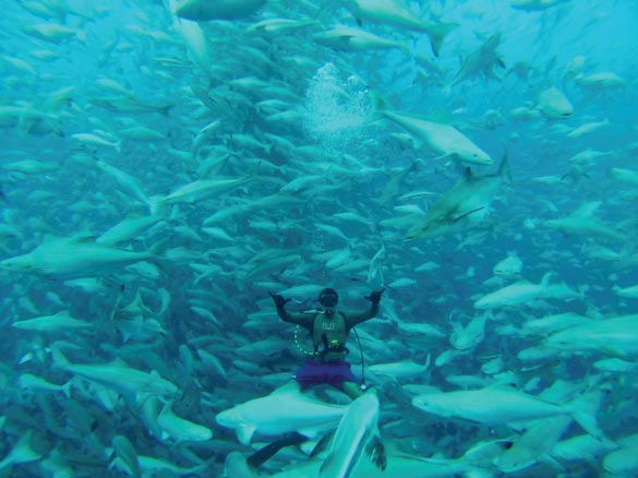 Diver in aquaculture pen