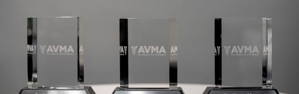 Photo of 3 AVMA awards