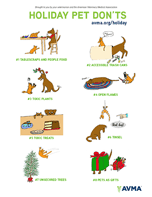 7 Holiday Pet Dont's poster