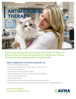 Do's and Don't of Antimicrobial Therapy: Cat poster