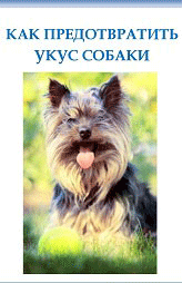 Dog Bite Prevention Brochure in Russian