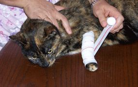 Applying bandage to stop external bleeding