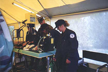 A Veterinary Medical Assistance Team in training