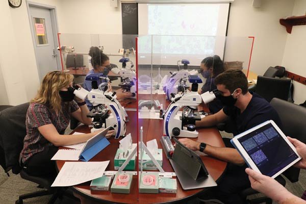 Students working with video-enabled microscopes