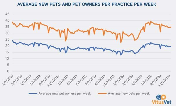 Chart: Average new pets and pet owners per practice per week - Source: VitusVet