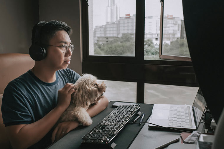 Dog owner working from home