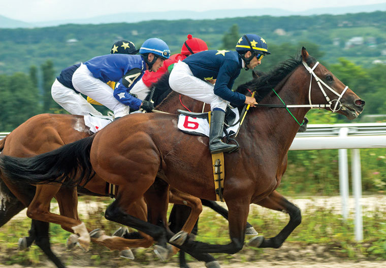 Racehorses and jockeys on the track