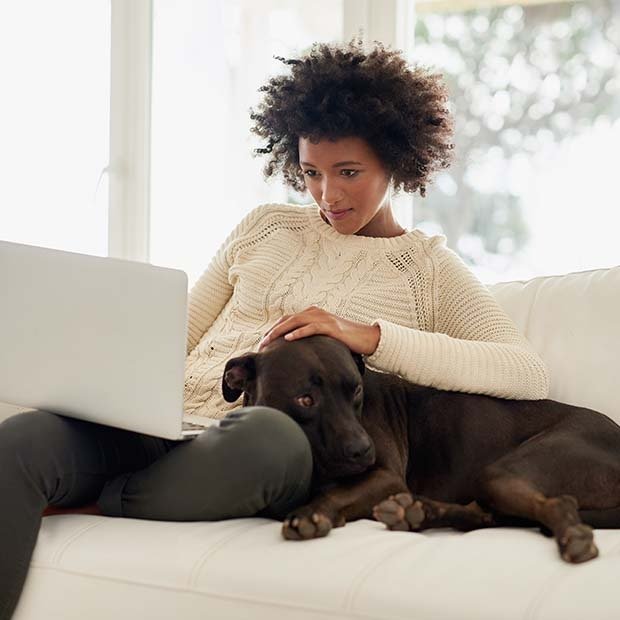 Woman using a laptop while sitting on the couch with her black dog