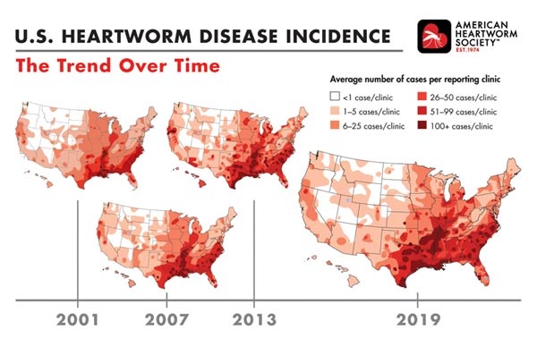 Infographic: U.S. Heartworm Disease Incidence The Trend Over Time