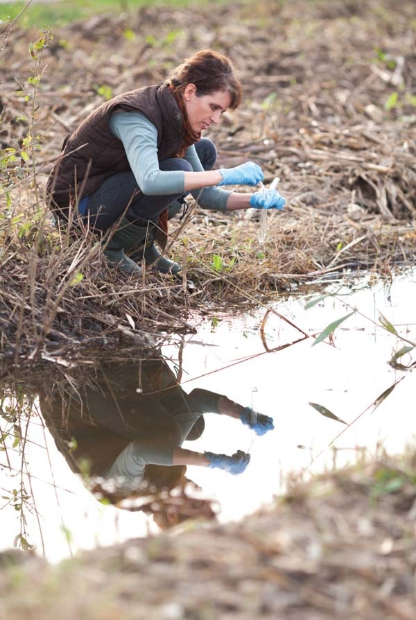 Biologist analyzing a water sample
