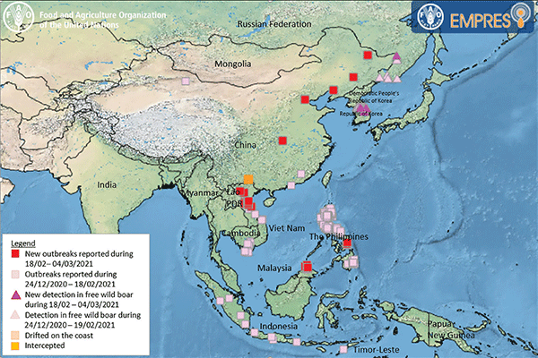 Map: Reported African swine fever outbreaks in Asia
