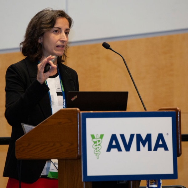 Woman giving a CE presentation at the AVMA Convention