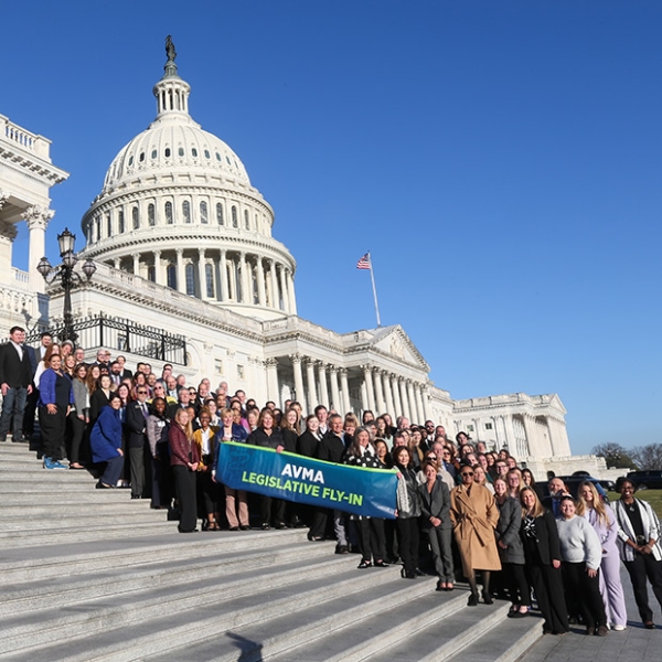 Participants of the 2024 AVMA Legislative Fly-In stand on the steps of the US Capitol building holding a "AVMA Legislative Fly-In" banner