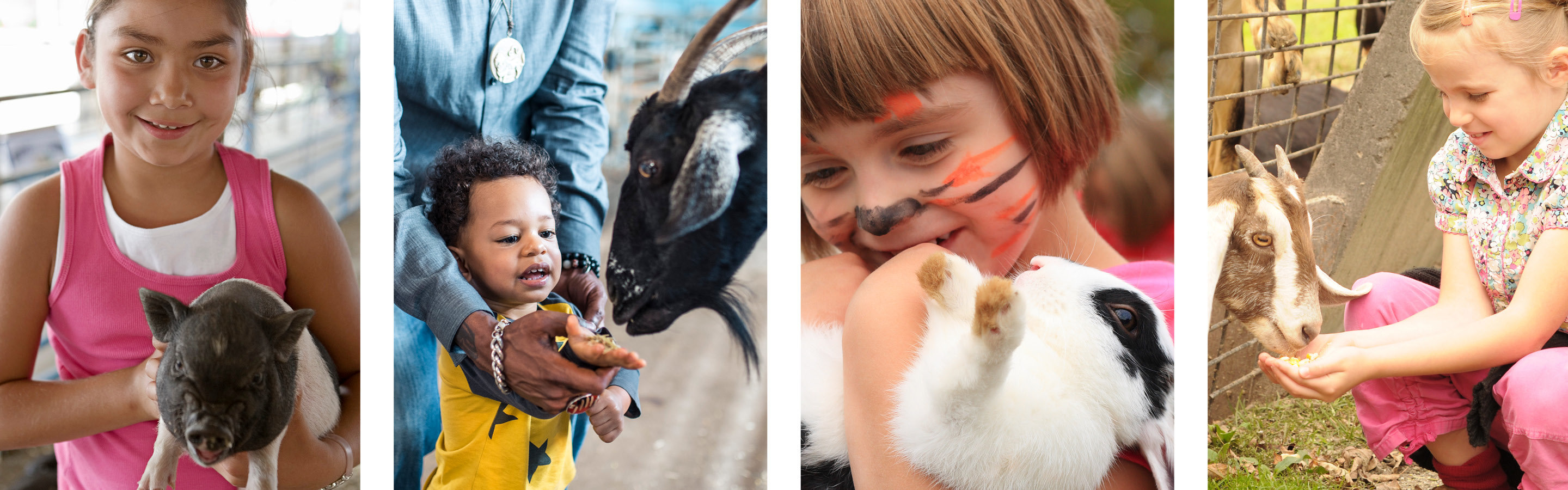 Collage: Children with petting zoo animals